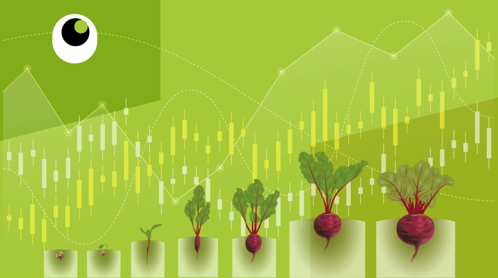 Раунди інвестицій на прикладі бурячків